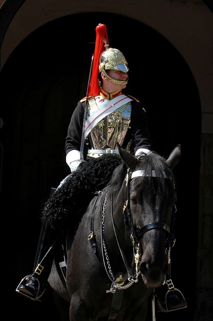 Fotó: A Királyi Lovas Háziezred katonája, London, Anglia. A kép illusztrációként szolgál Pragmatic Tutor (angoltanár / magántanár) weboldalán.